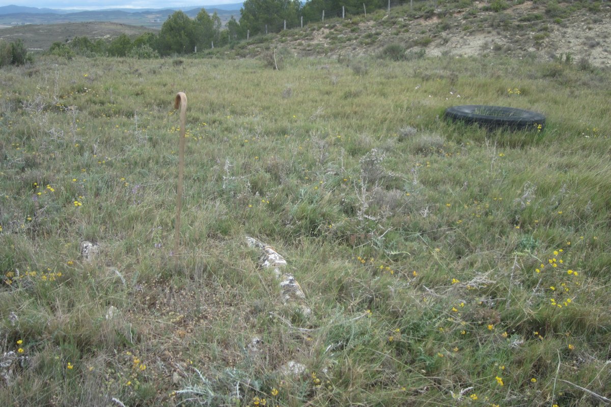 Cista Las Cabras 2  (Mayo 2019)