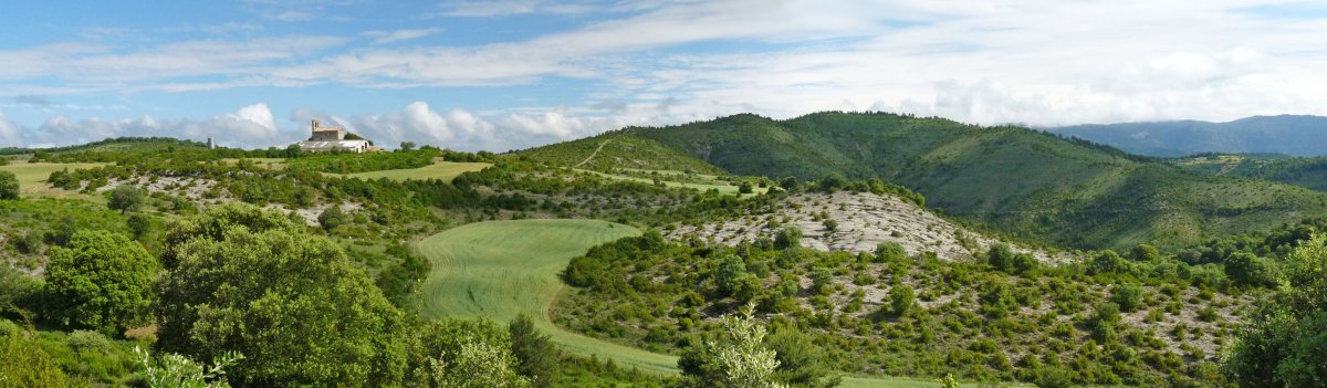 San Esteban eta Bagoandia/Aritzandia