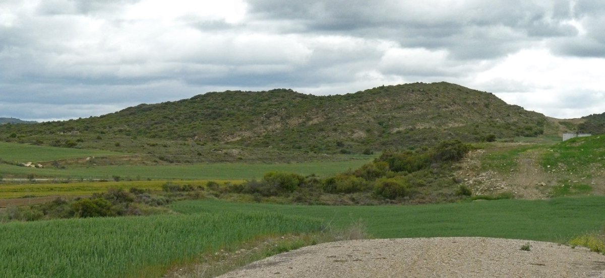 Sazuluzea (Pingolotero)