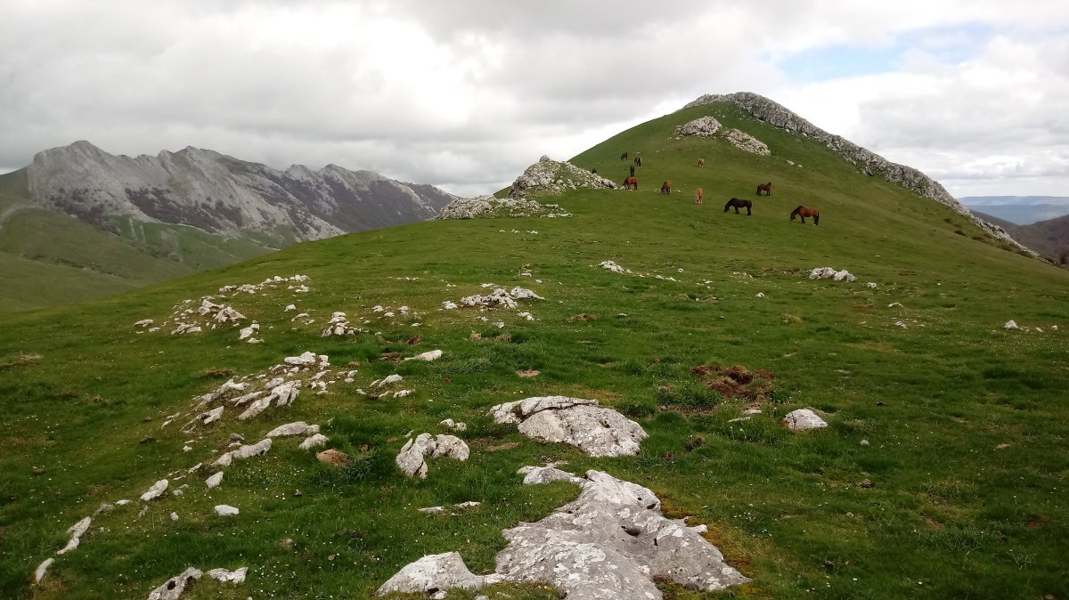 Enaitz (1296m) mendebaldetik