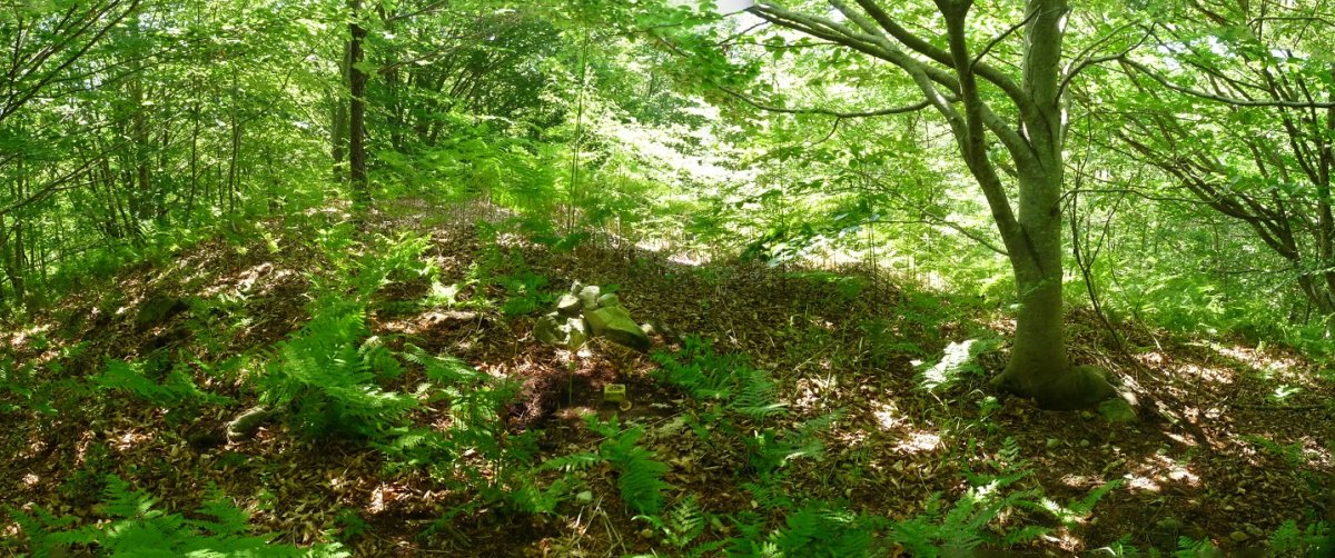 Ikalabetako gailurra