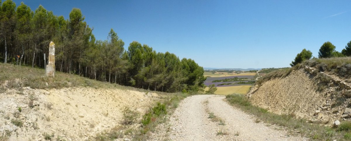 Portillo de los Lobos, Oteiza eta Lerin arteko mugarriak zainduta