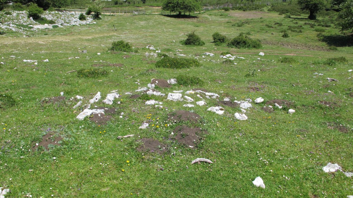 Aginan tumulua, Urbasa