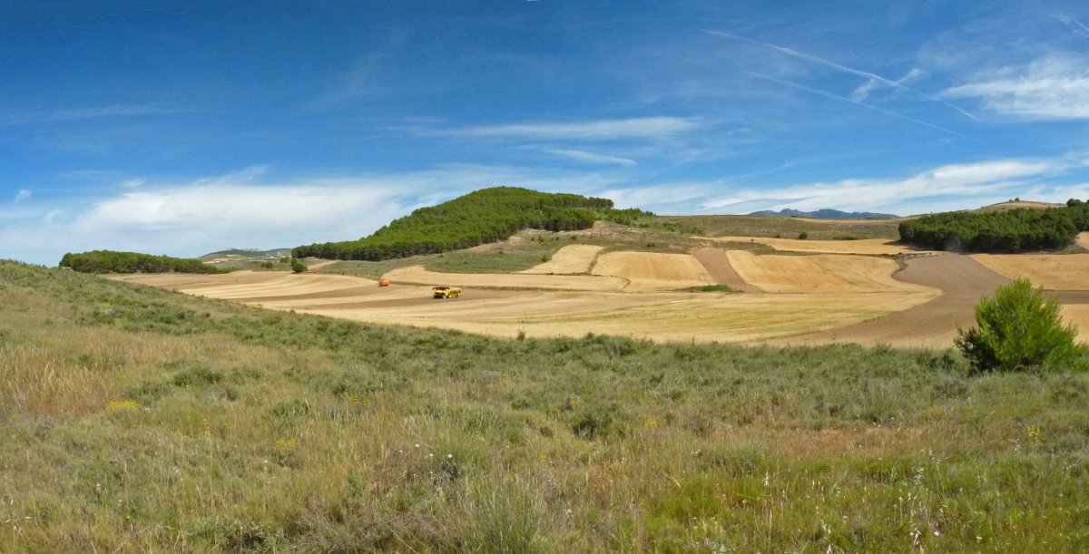 Somojon mendia, El Bustoko bidetik