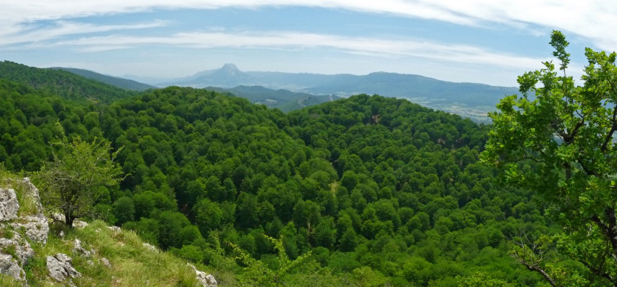 Aizkaia eta Musarrako haitzak
