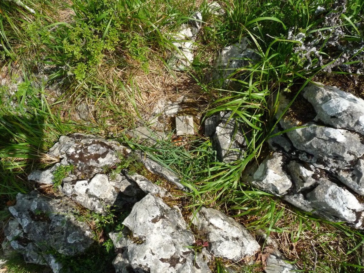 Tako geodesikoa Aizkaian