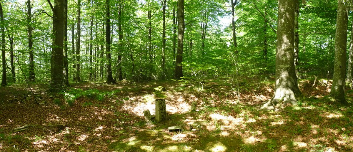 Malkorburuko gailurra