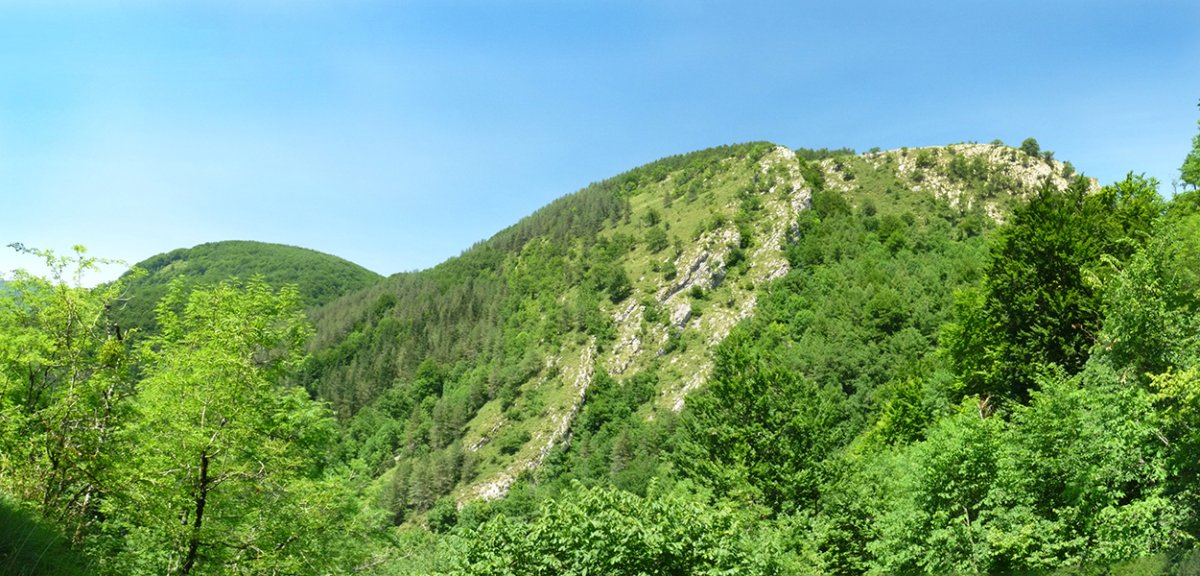 Hegoaldeko malkarrak, Lizarrustiko bidetik