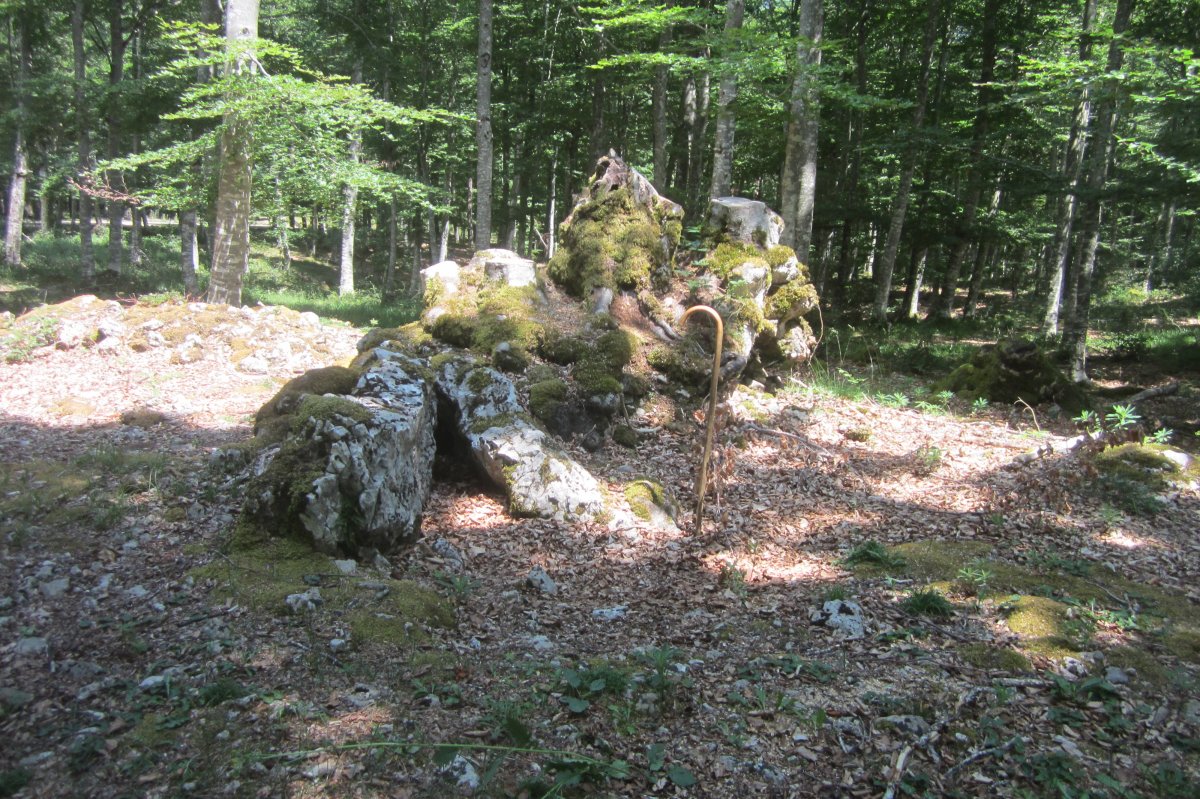 Dólmen Aubia 1 Ipar sin arboles  (Junio 2019)