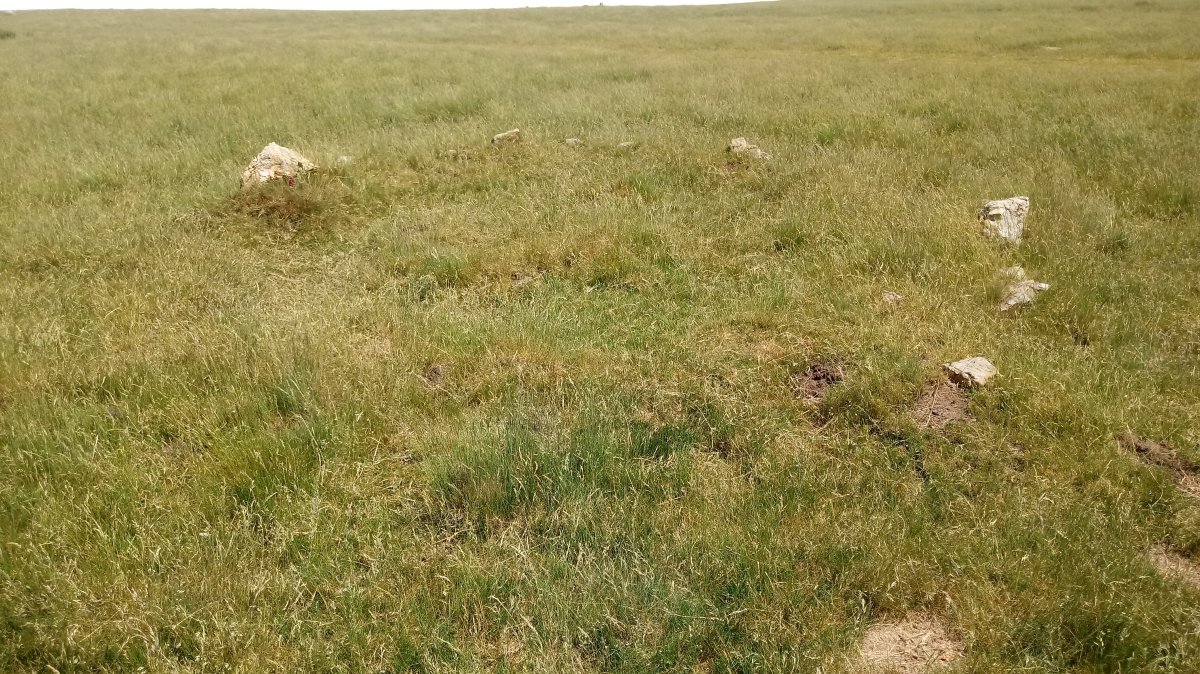 Ilharrita harrespilak 10