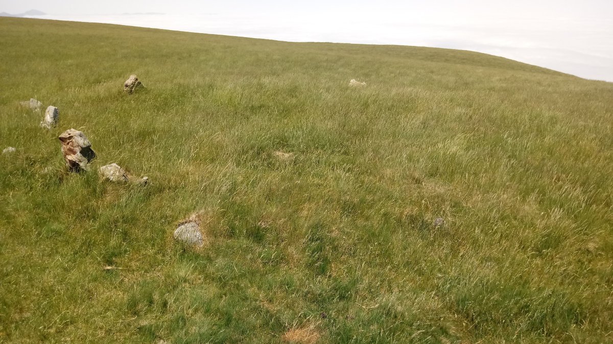 Ilharrita harrespilak 9