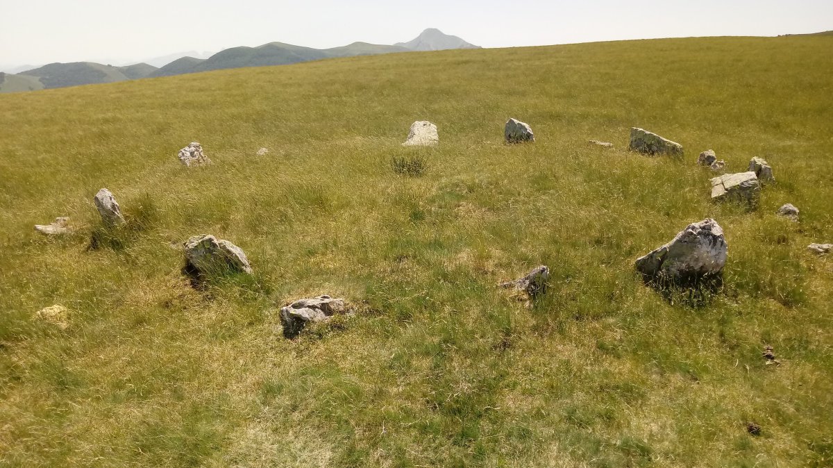 Ilharrita harrespilak 8