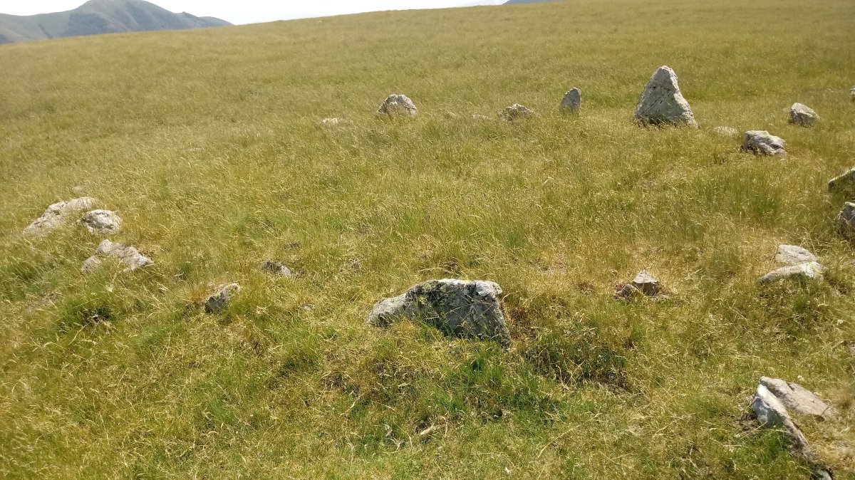 Ilharrita harrespilak 6