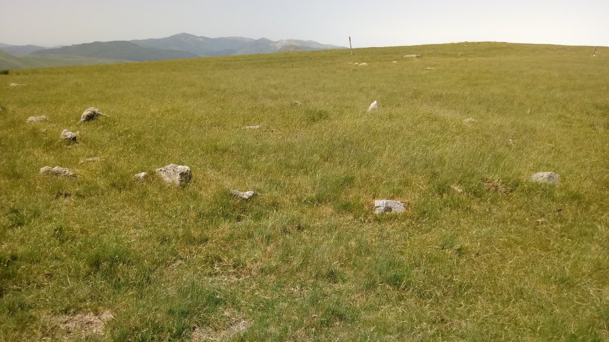 Ilharrita harrespilak (2019)