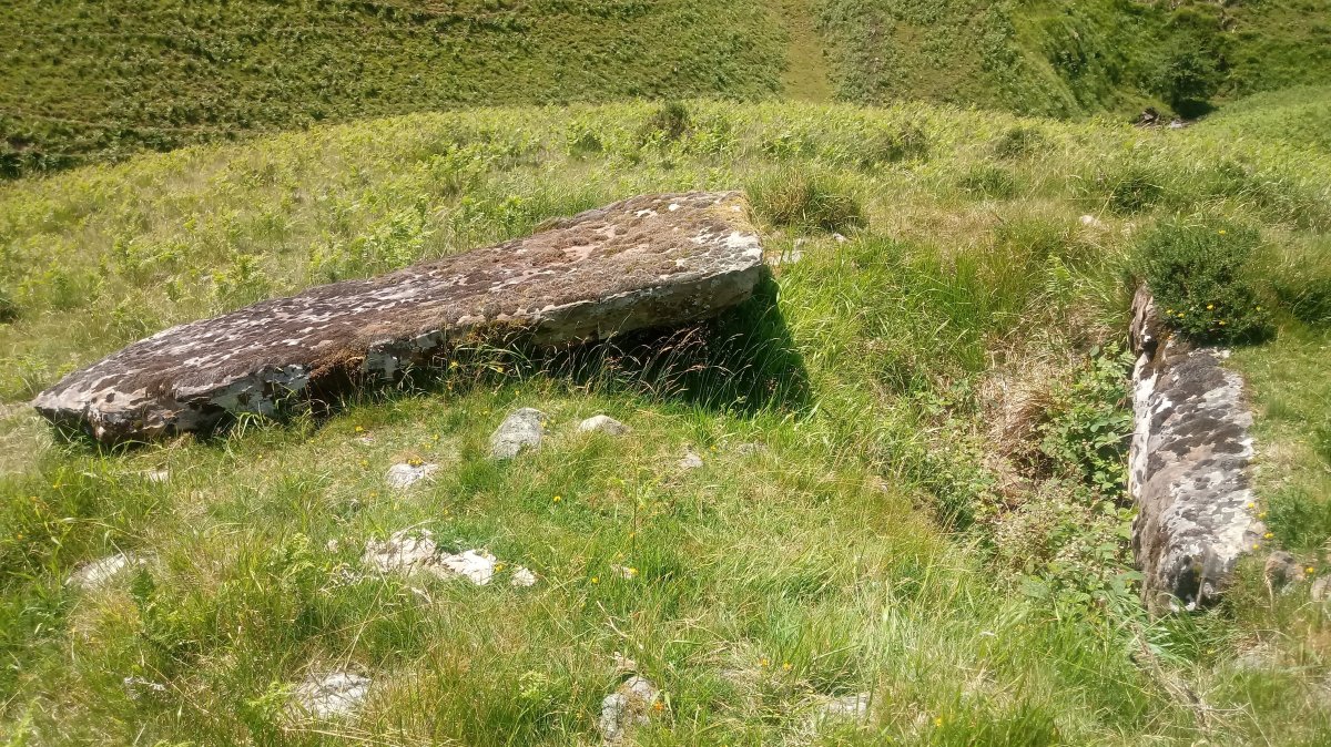 Artxilondo trikuharria 3