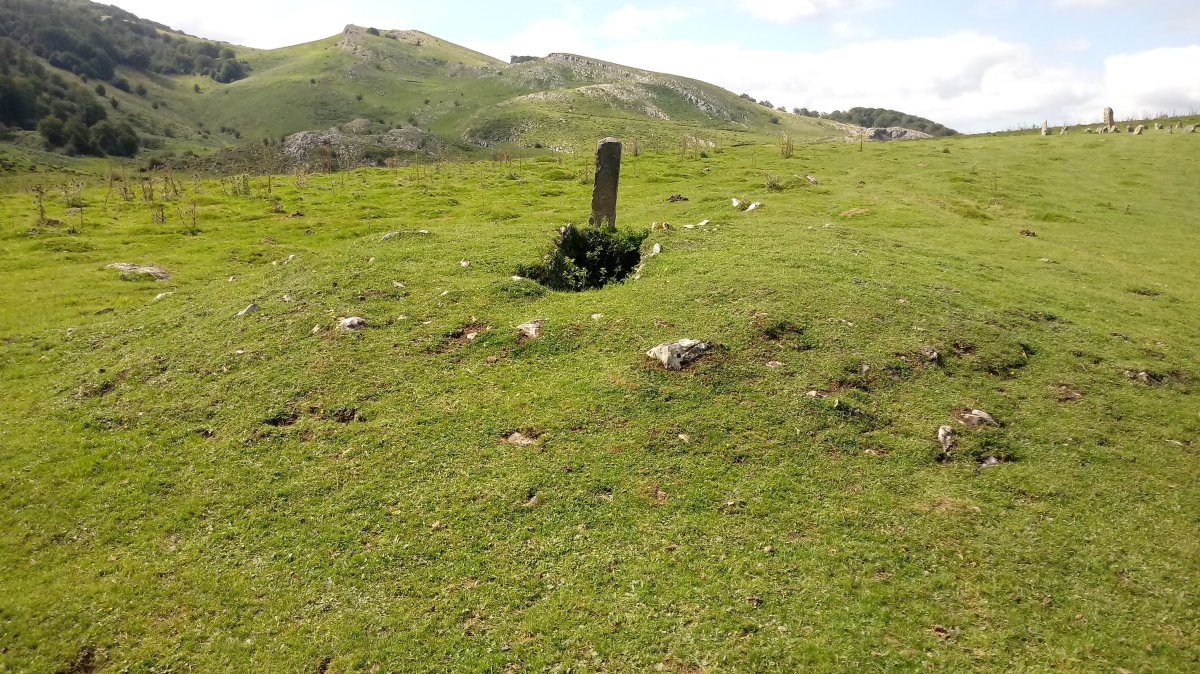 Organbideko trikuharria (2018)