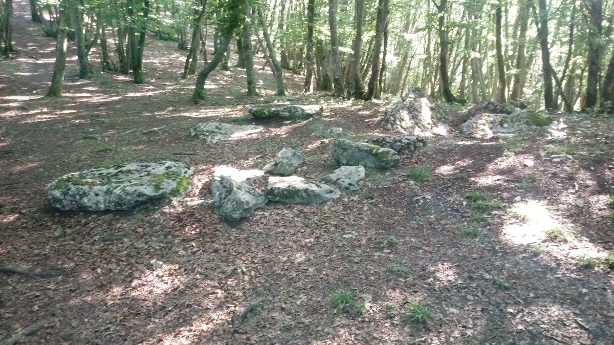 Angaitza trikuharria 3