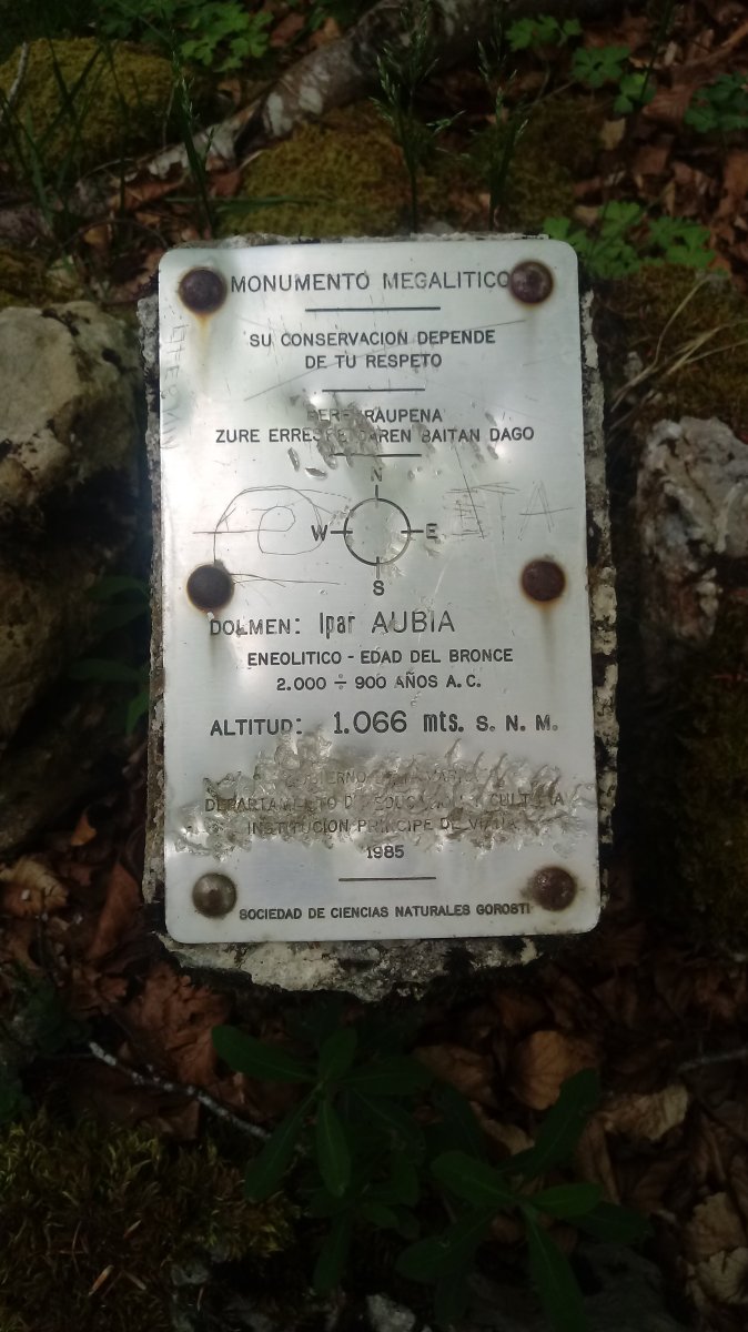 Aubia I Ip. trikuharria (2019)