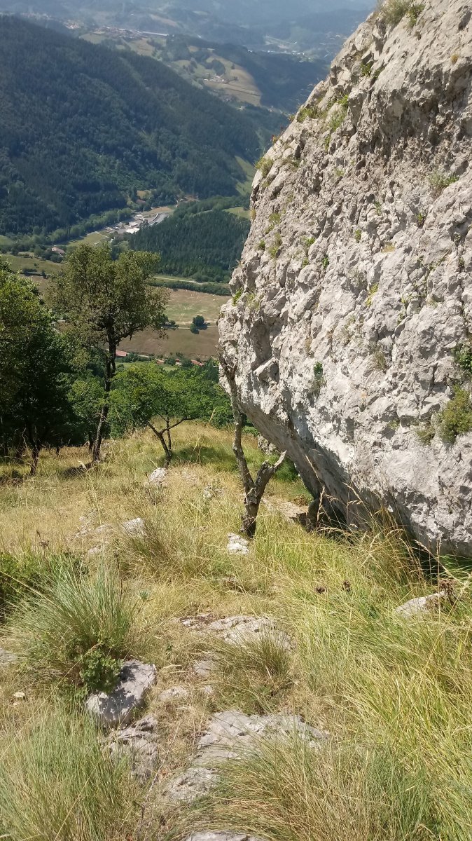 Aizkoate (735m) gandorreko igoera