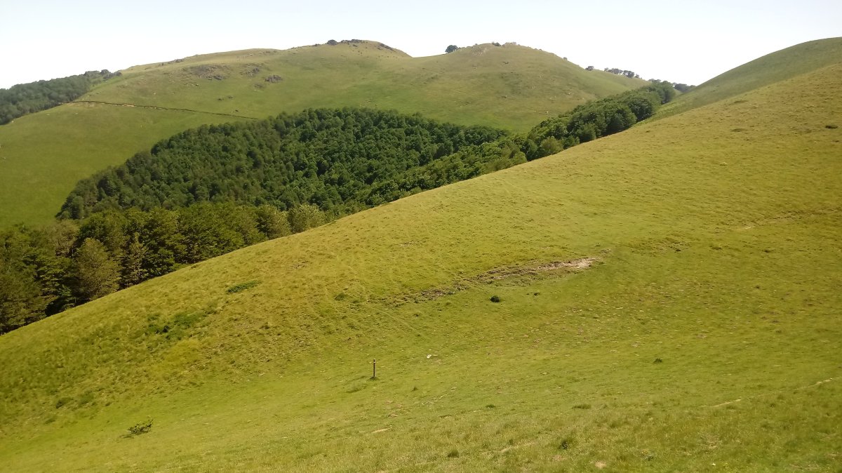 Okabe (1466m) Kurutxeko lepotik