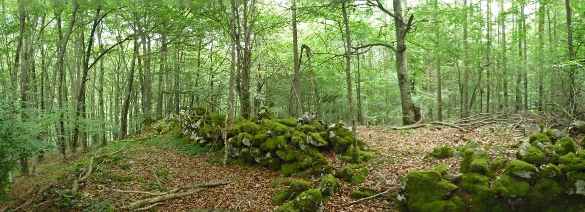 Harrisko murrua Ariztizabalen