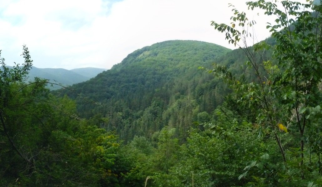 Ariztizabal, Lizarrustiko bidetik