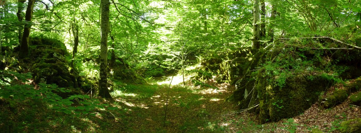 Bideak bilatuz karstean barrena