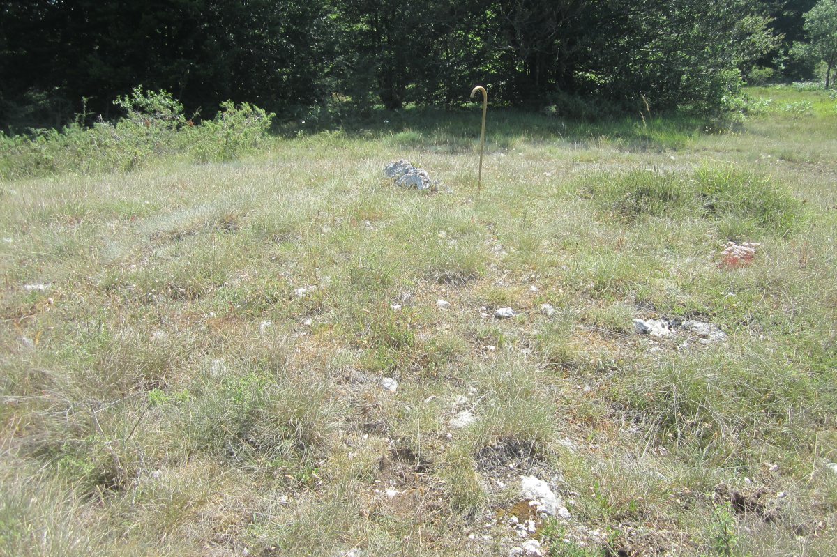 Dólmen Alto del Mojón (Julio 2019)