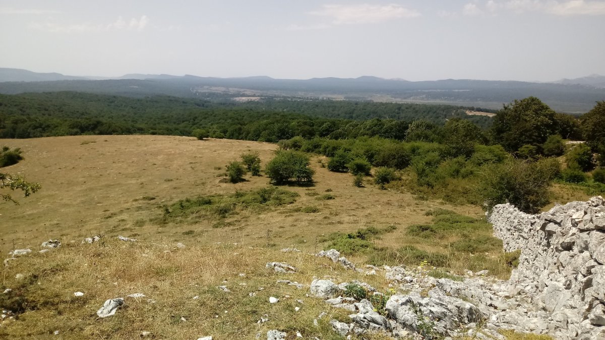 Bardoitza (1115m) tontorretiko ikuspegia Urbasa aldera