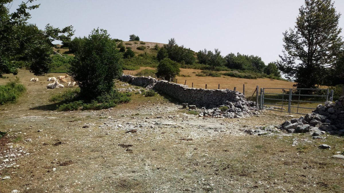 Dulantz (1243m) gailurraren hegoaldetik