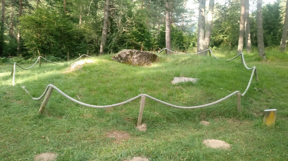 Asolaze trikuharria 2