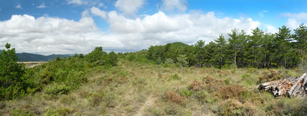 Murugain eta Urrozgoiti arteko lepoa