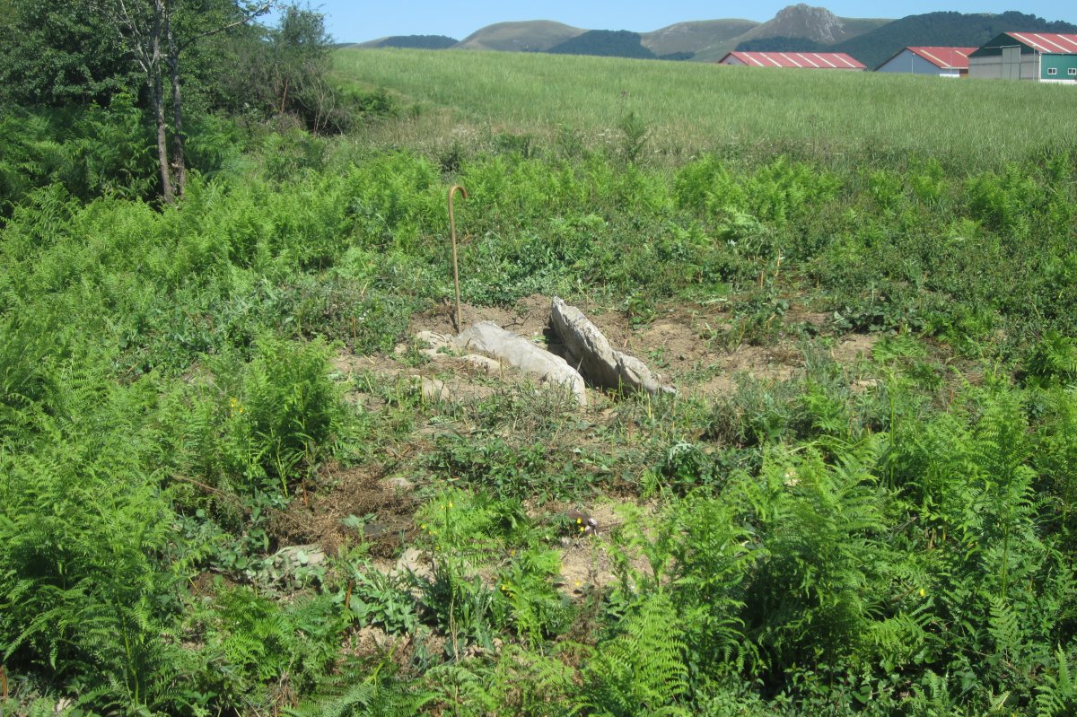 Dólmen Baratzeko Erreka  (Agosto 2019)