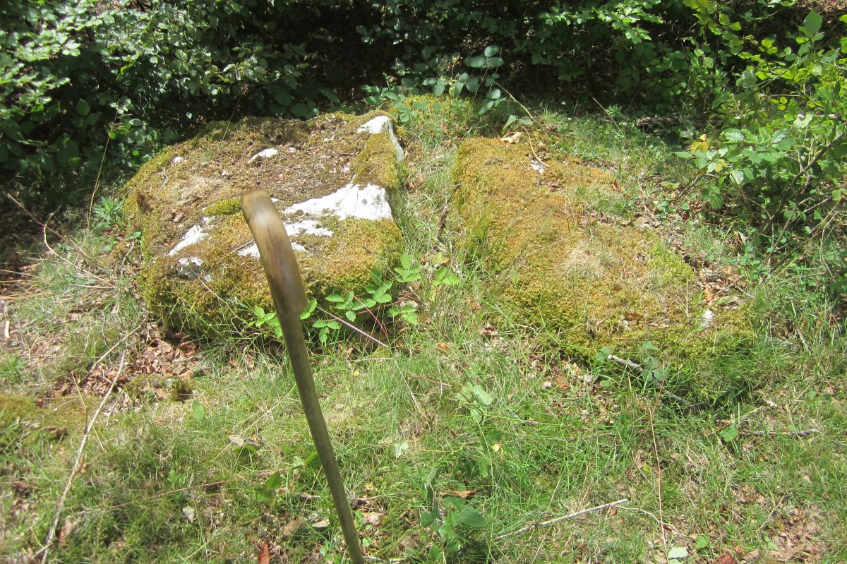 Dólmen Pitxortzar 2 Erdi  (Julio 2019)