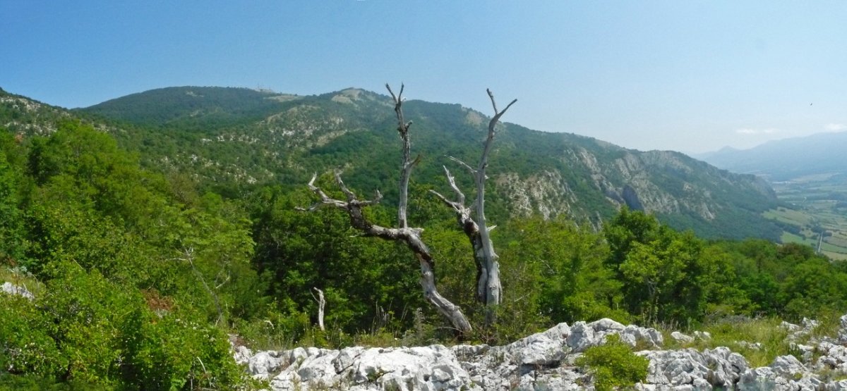 San Migel Labako gainaldetik