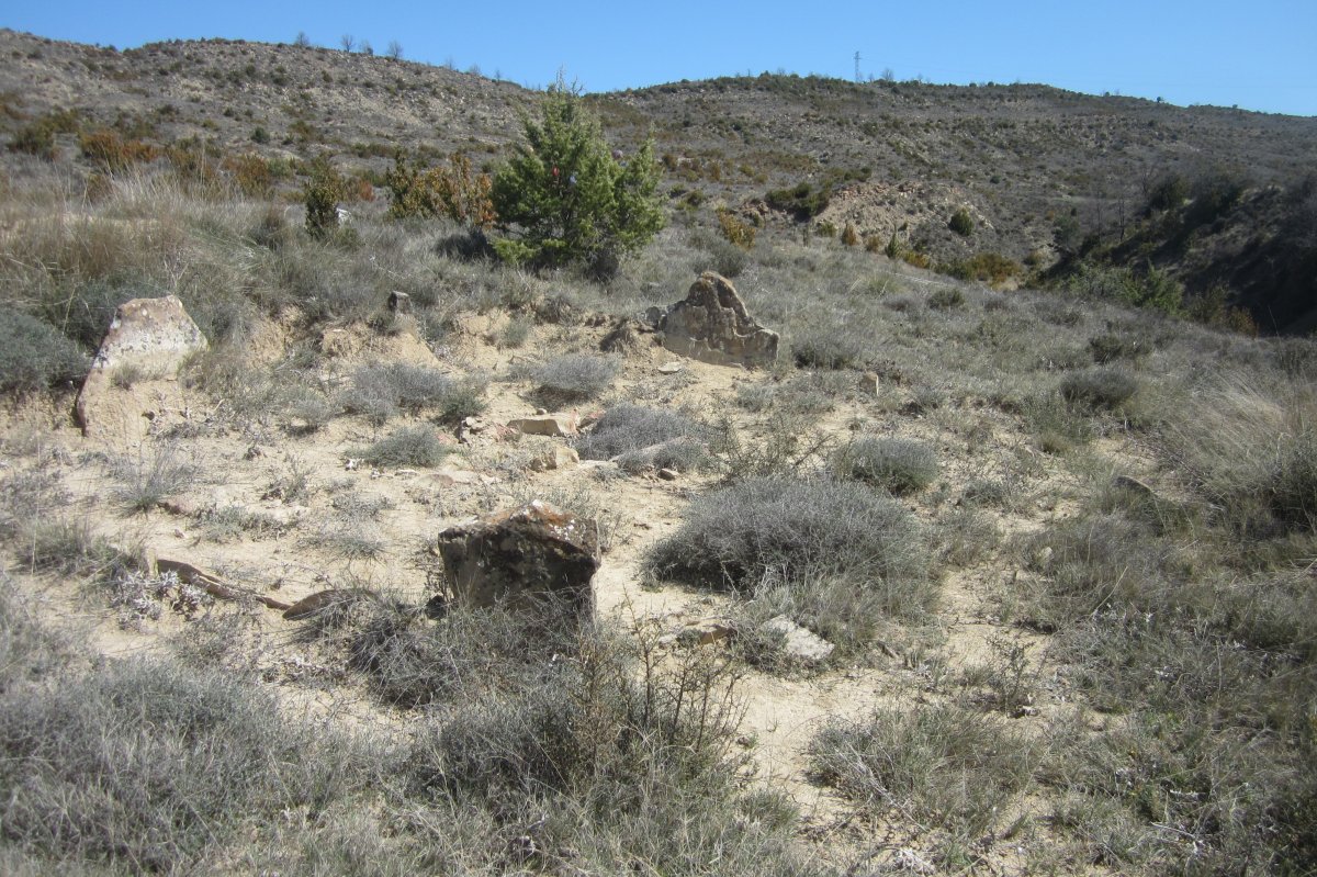 Cromlech Barranco de la Paul nº 5 (Marzo 2019)
