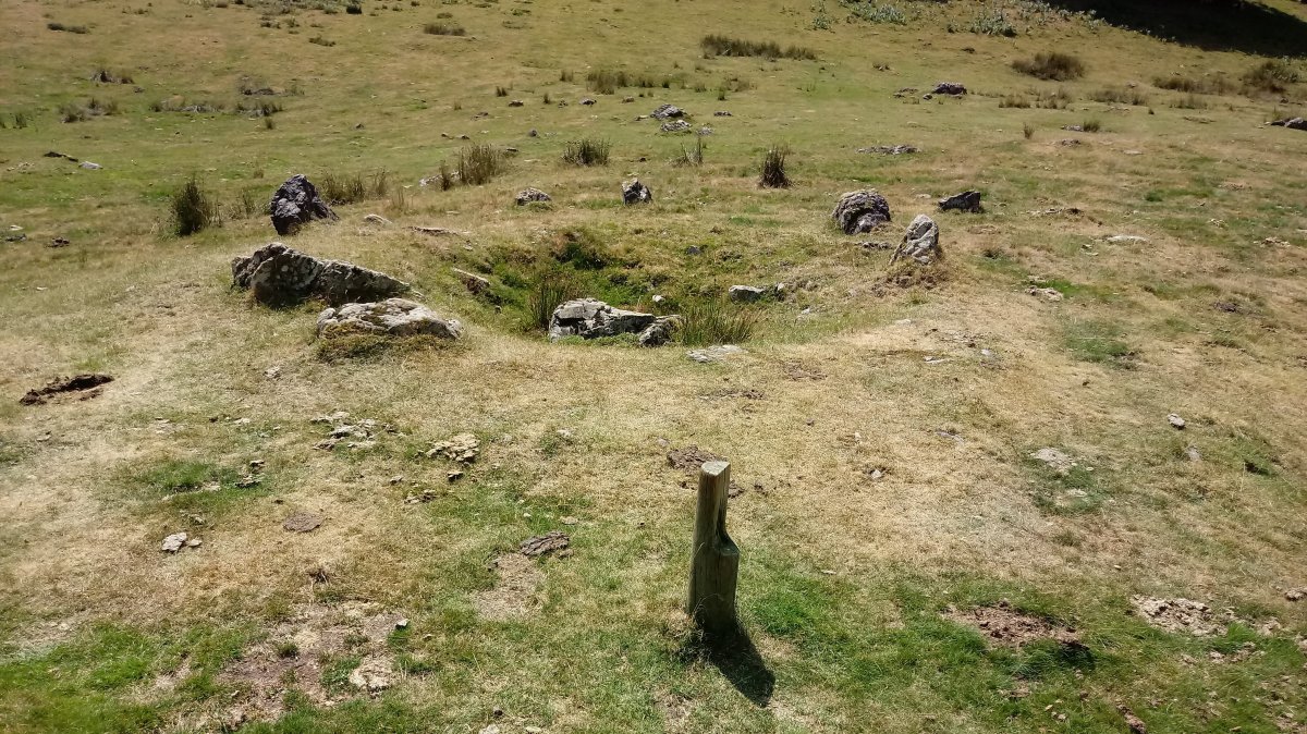 Iratisoro H. harrespila (2019)