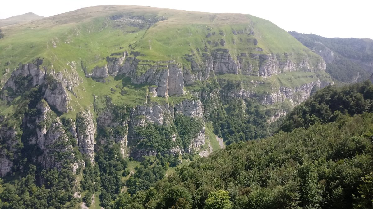 Ehujarreko arroila gaineko sendatik