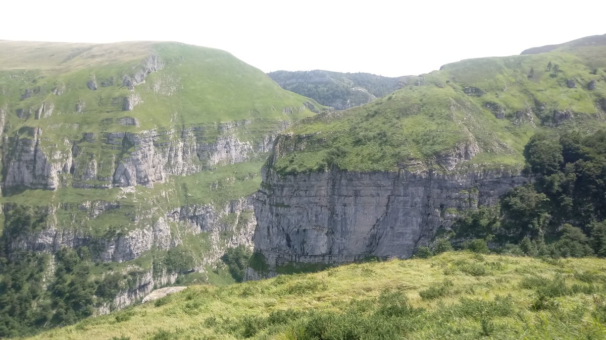 Ehujarreko arroila gaineko sendatik