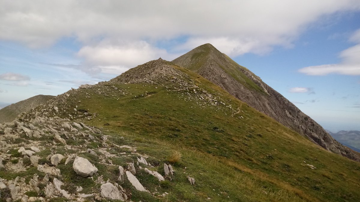 Orhitxipia, tontorra, atzean Orhi