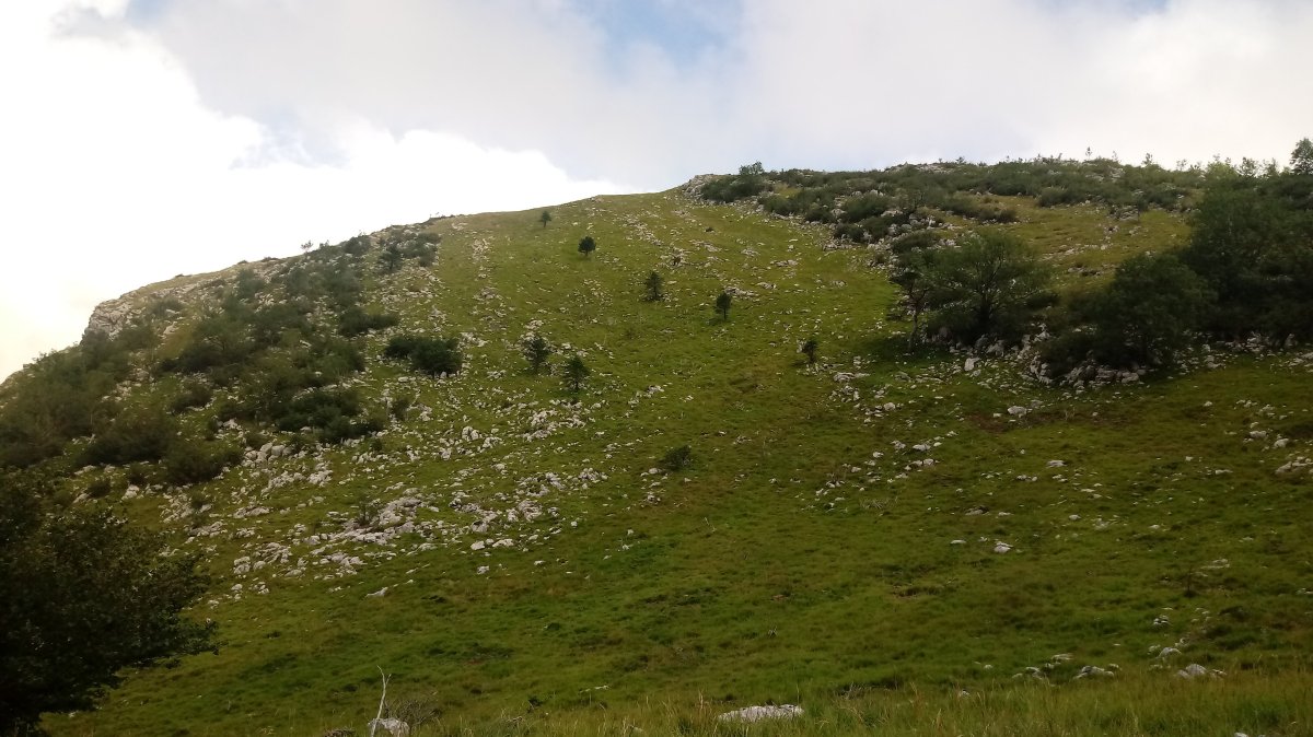 Etxekortea (1204m) mendia