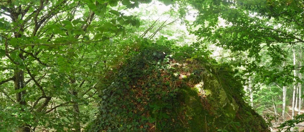 Eguberako Harriko gailurra