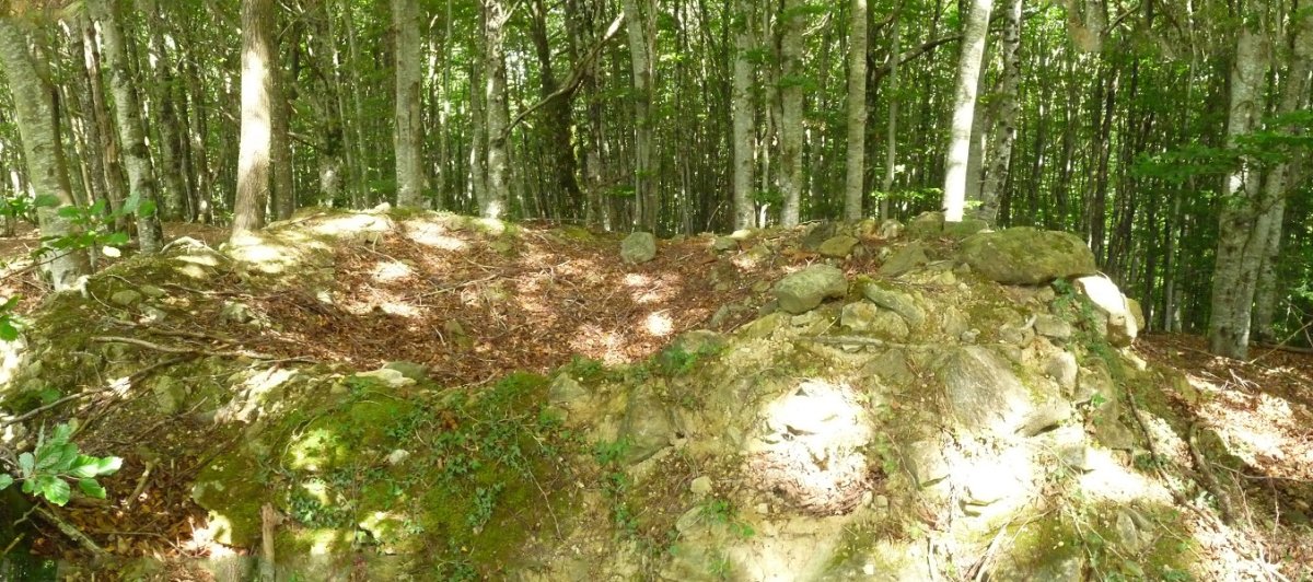 Dorre Txiikiko hondakinak