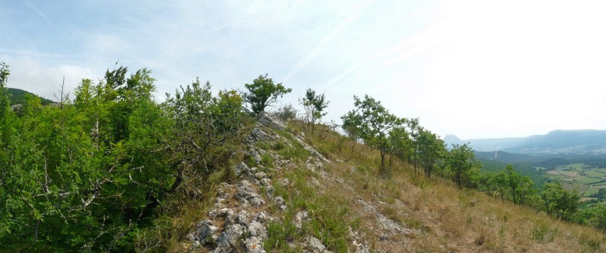 Auntzetako Harriko gandorra