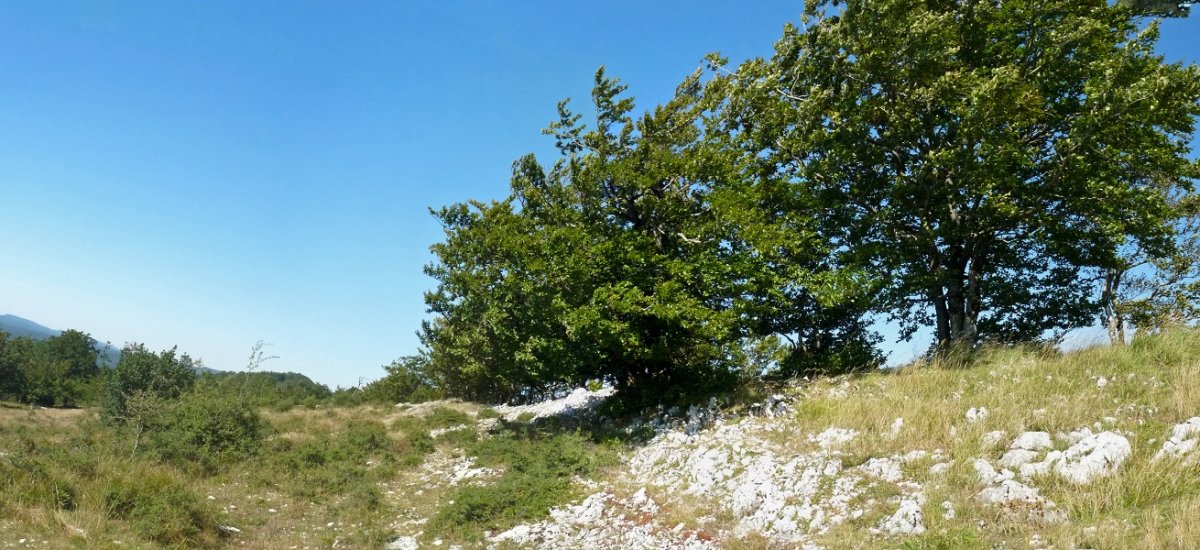 Gainsoilako gainaldea