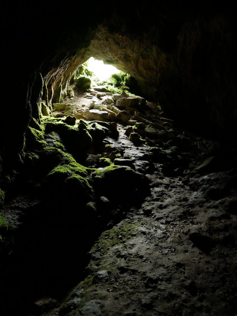 Mauletxe koba, Abaurregaina