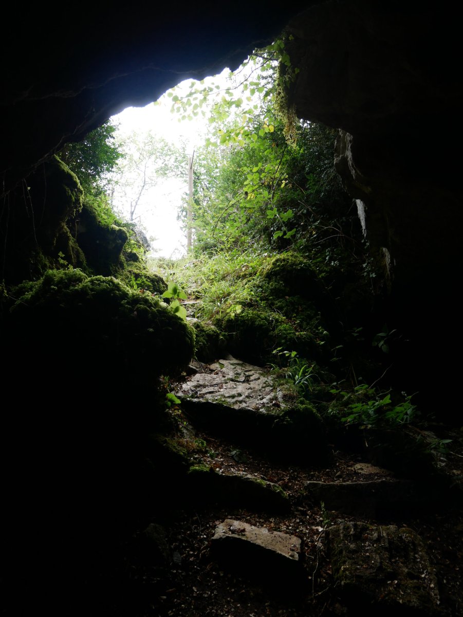 Mauletxe koba, Abaurregaina