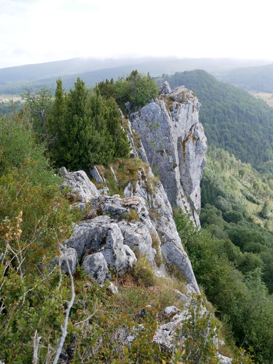 Tontorreko harkaitzak