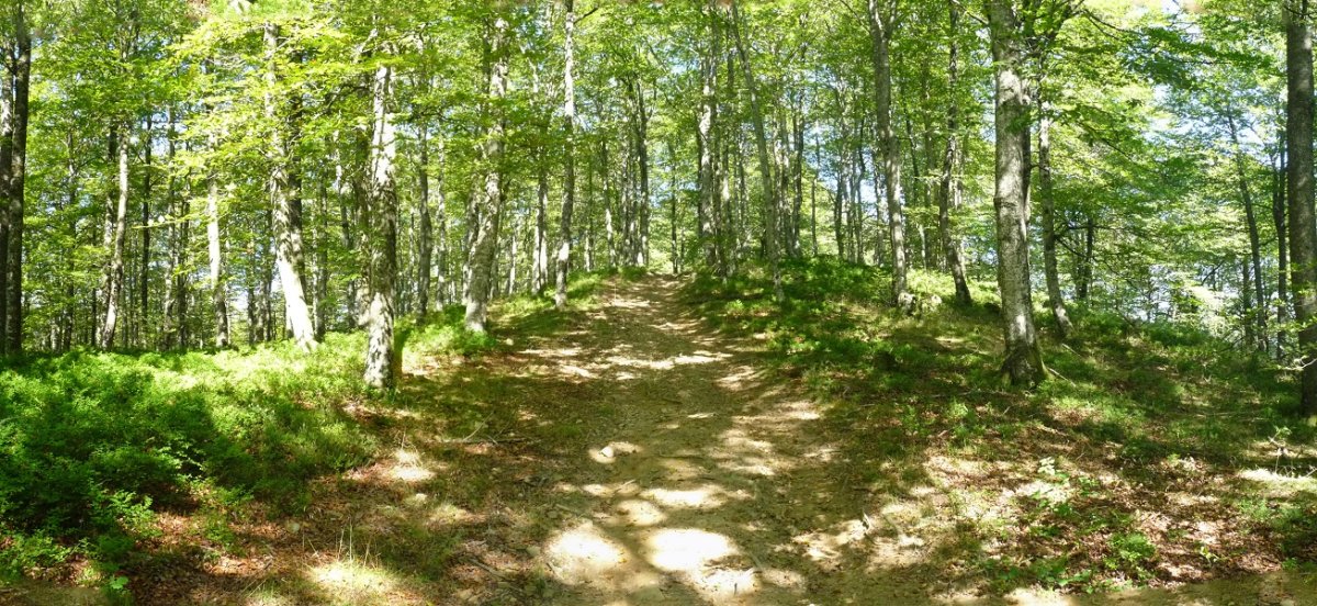 Muñaango azken metroak