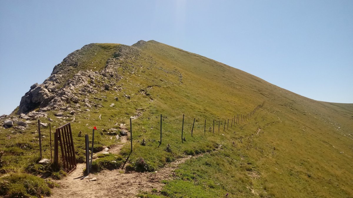 Orhi (2017m) azken zatia